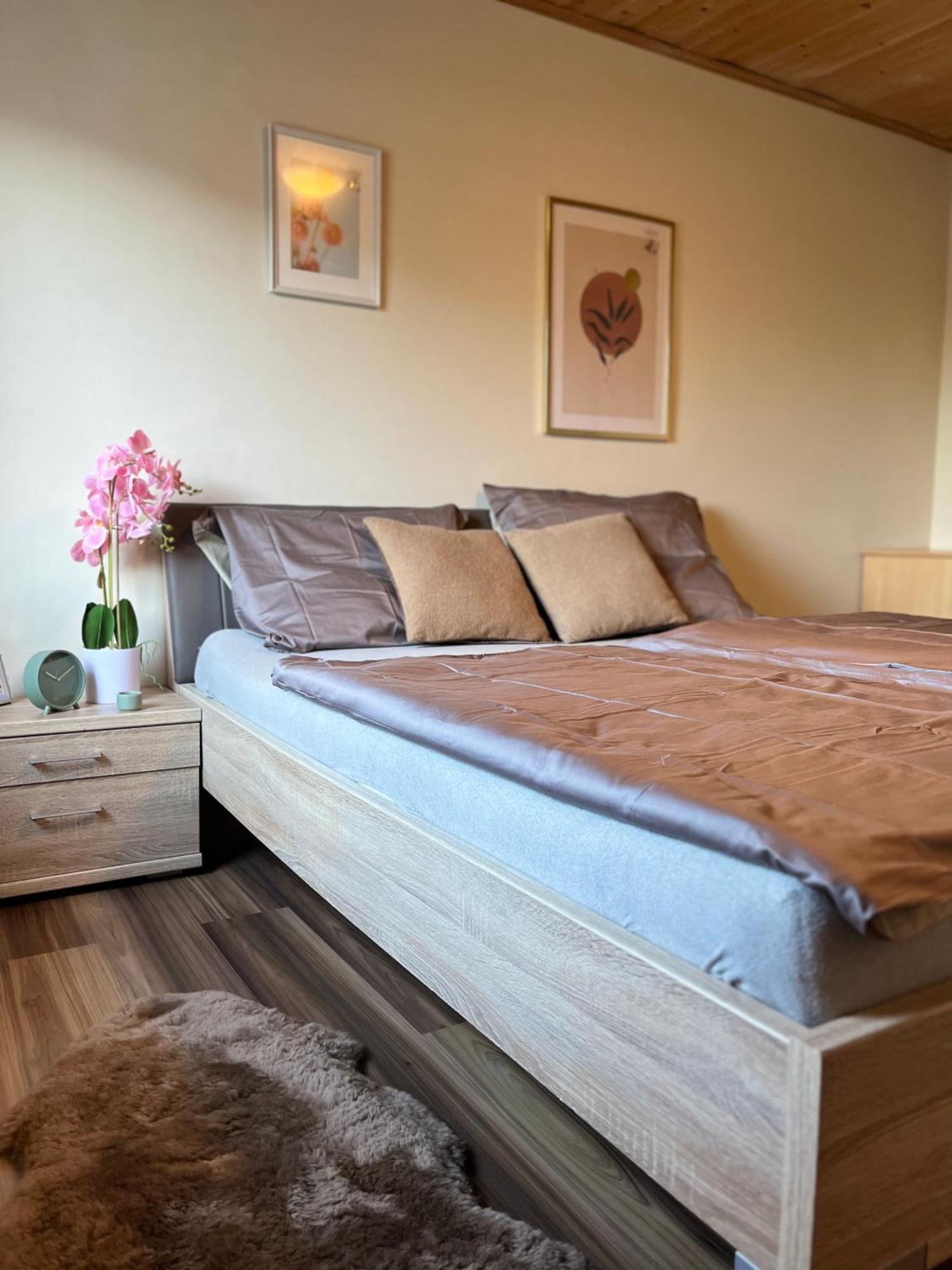 Gemuetliche Wohnung/ Cozy Apartment Niklasdorf Bagian luar foto